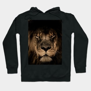 Be like a lion! Hoodie